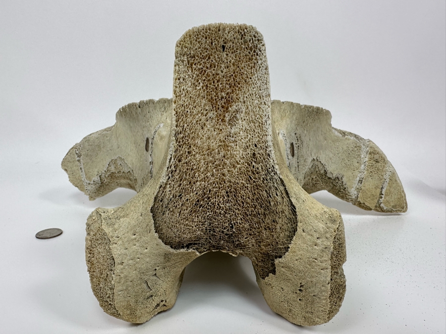 Double-Sided Hand Carved Inuit Whale Bone Vertebrae Sculpture Signed RK 16W X 6D X 11.25H [Photo 19]