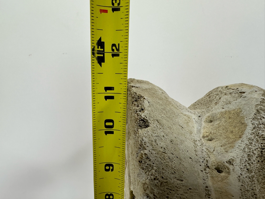 Double-Sided Hand Carved Inuit Whale Bone Vertebrae Sculpture Signed RK 16W X 6D X 11.25H [Photo 18]