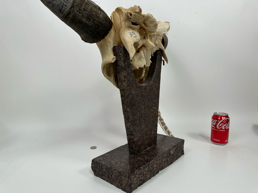 Tim Yanke Hand Painted Cow Skull Sculpture Signed By The Artist With Granite Display Base 22.5W X 15D X 19H [Photo 18]