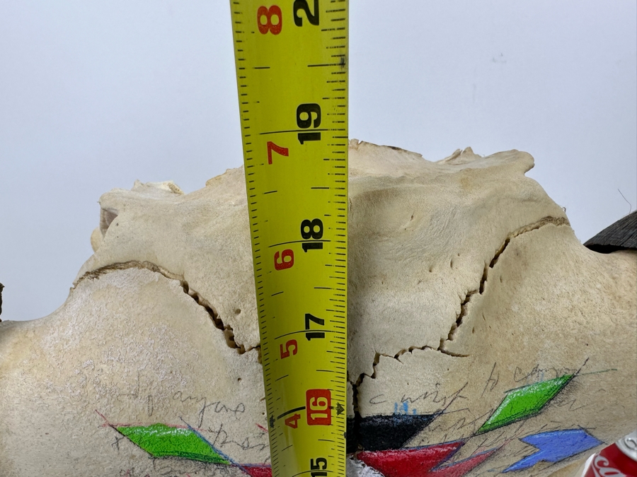 Tim Yanke Hand Painted Cow Skull Sculpture Signed By The Artist With Granite Display Base 22.5W X 15D X 19H [Photo 19]