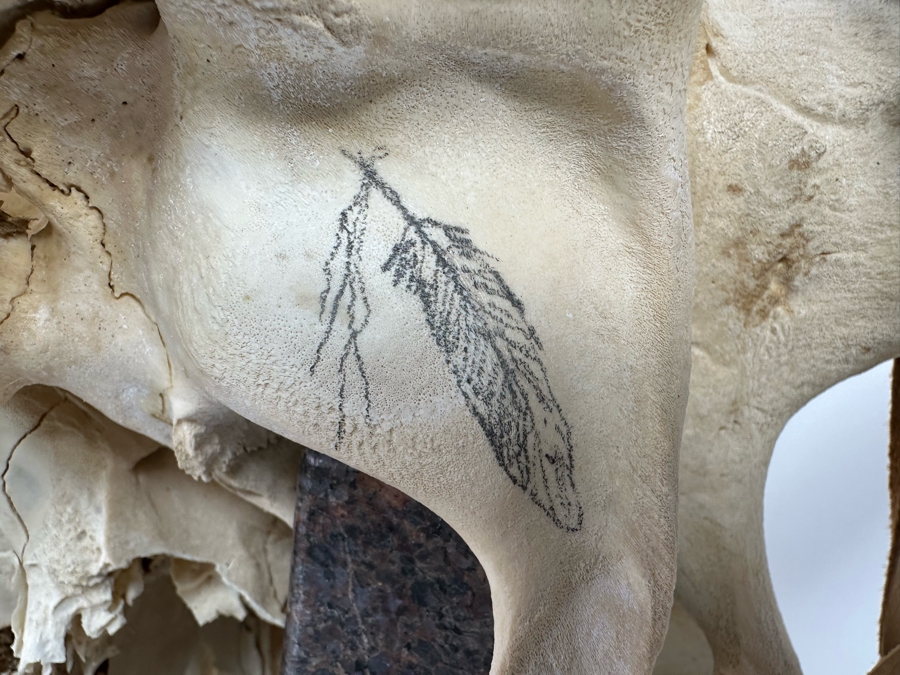 Tim Yanke Hand Painted Cow Skull Sculpture Signed By The Artist With Granite Display Base 22.5W X 15D X 19H [Photo 14]