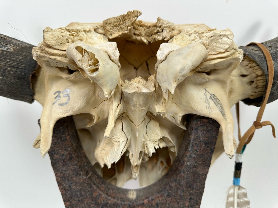 Tim Yanke Hand Painted Cow Skull Sculpture Signed By The Artist With Granite Display Base 22.5W X 15D X 19H [Photo 13]