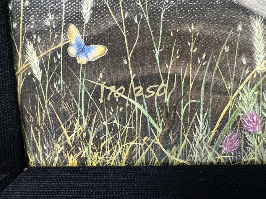 Robert Bissell Canvas Print Hand Signed Limited Edition 170 Of 250 Titled AM 2 Lying Bear Watching Butterflies 19 X 14 Framed 26 X 21.5 [Photo 10]