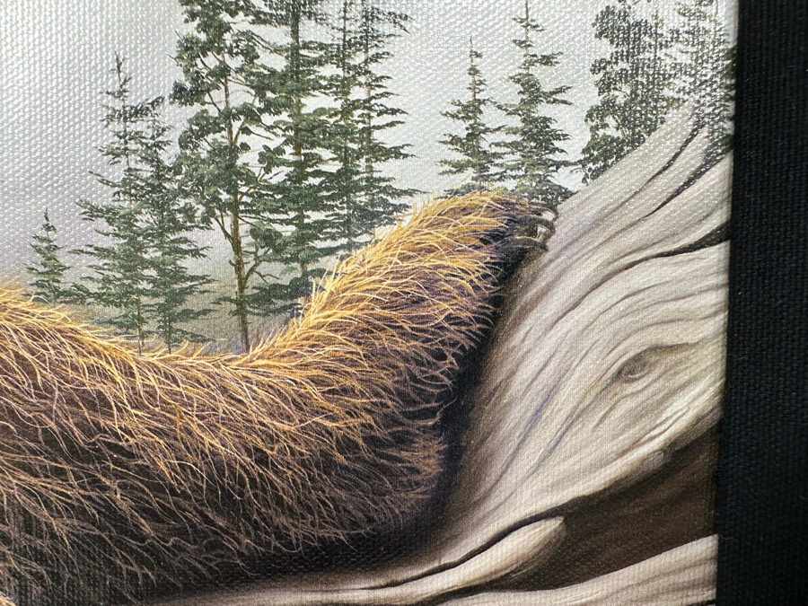 Robert Bissell Canvas Print Hand Signed Limited Edition 170 Of 250 Titled AM 2 Lying Bear Watching Butterflies 19 X 14 Framed 26 X 21.5 [Photo 13]