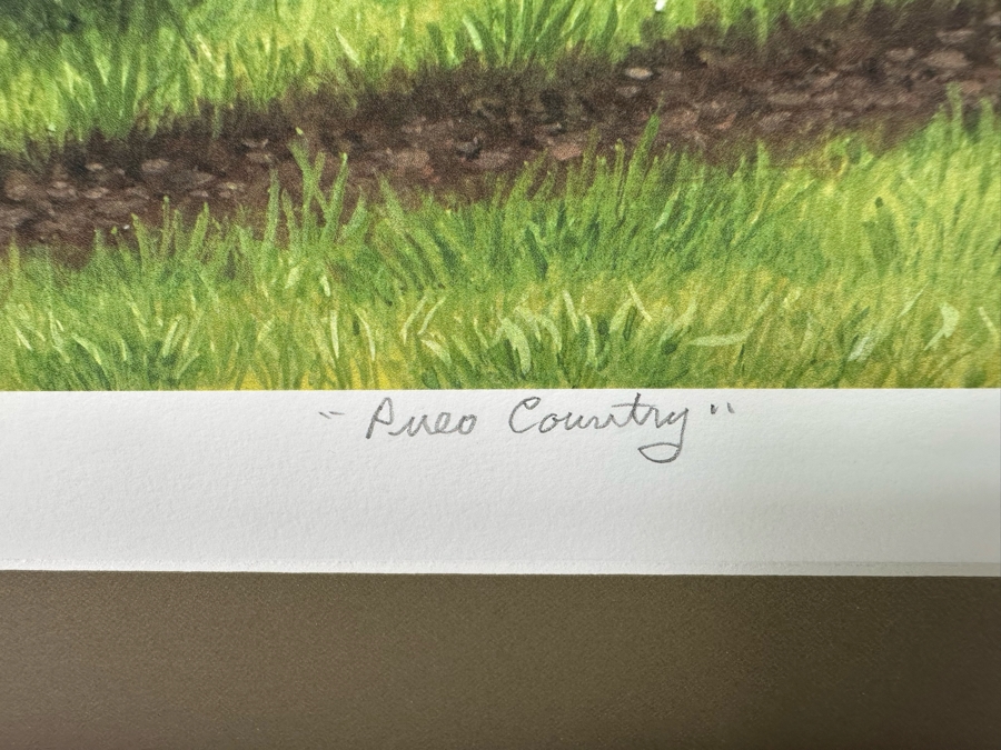 N. Robert Wagstaff Limited Edition Print Titled 'Pueo Country' Of Flying Owl Edition 28 Of 75 11 X 16 Framed 16 X 22 Pencil Signed By Artist [Photo 7]