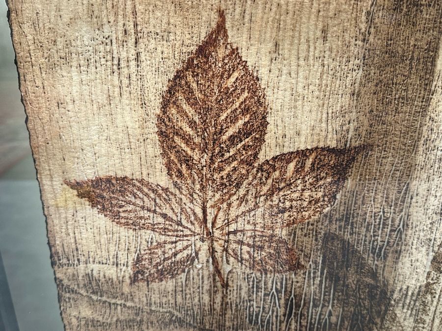 John-Richard Impressed Patina Panel IV Artwork In Unique Frame Very Heavy 30 X 49 Retails $899 [Photo 5]