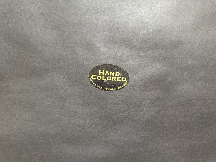 Pair Of Hand Colored Botanical Foliage Prints Nicely Framed 22.5 X 28.5 Retails $1,090 For Pair [Photo 16]