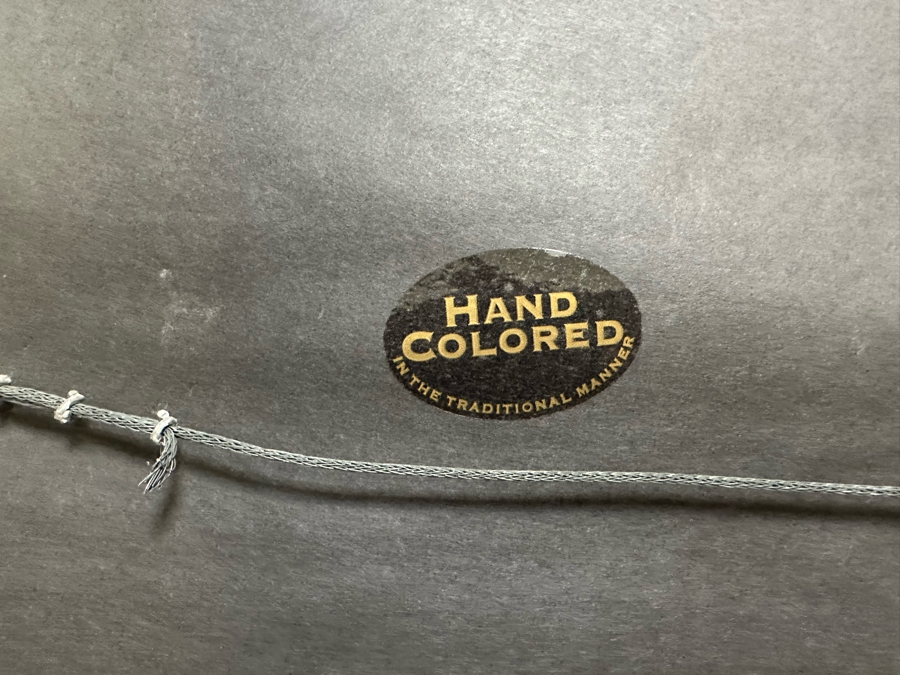 Pair Of Hand Colored Botanical Foliage Prints Nicely Framed 22.5 X 28.5 Retails $1,090 For Pair [Photo 8]