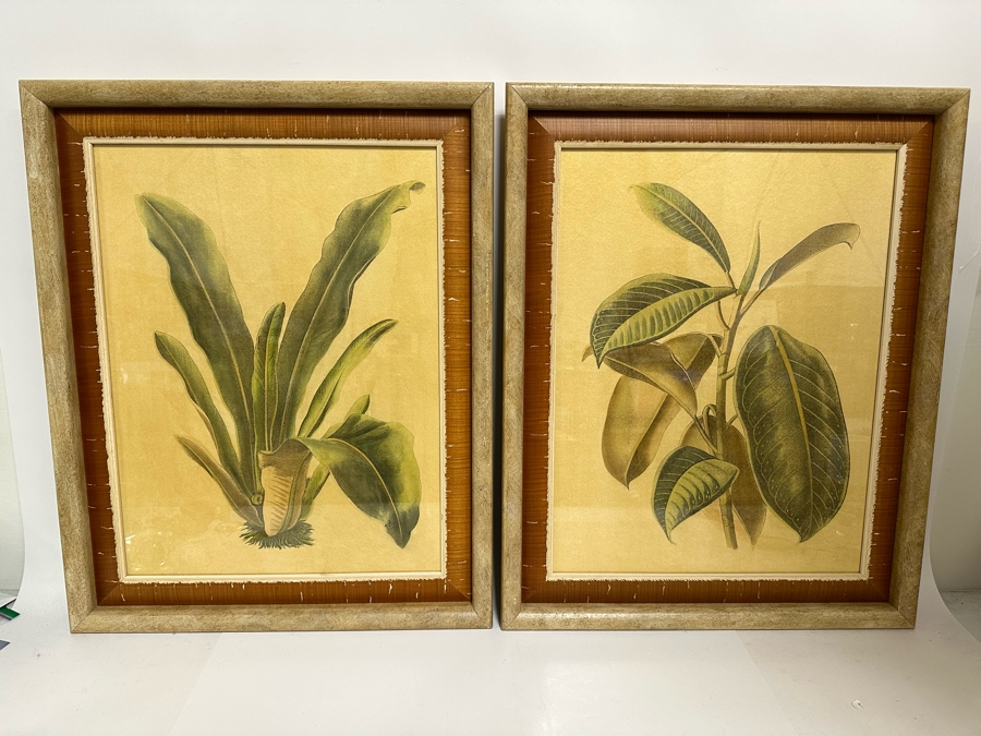 Pair Of Hand Colored Botanical Foliage Prints Nicely Framed 22.5 X 28.5 Retails $1,090 For Pair [Photo 3]
