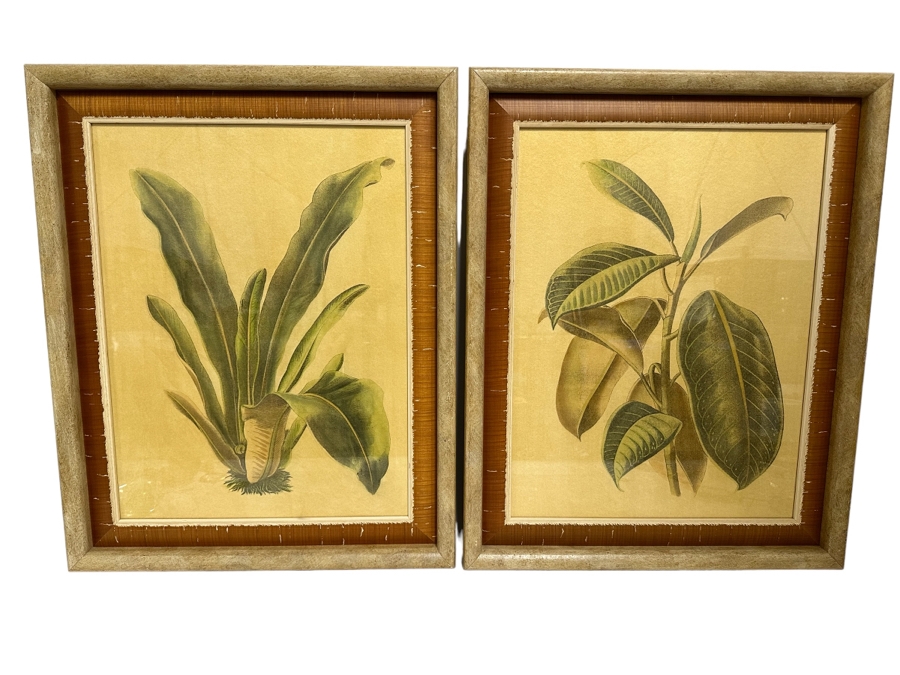 Pair Of Hand Colored Botanical Foliage Prints Nicely Framed 22.5 X 28.5 Retails $1,090 For Pair [Photo 1]
