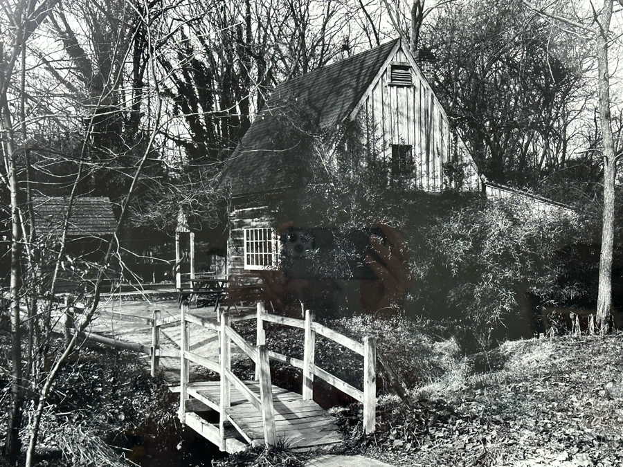 Richard D. Keesling Signed Photograph (Dick Keesling Was Also Actress Betty White's Manager For Many Decades) 19.5 X 16 Framed 26 X 22 [Photo 8]