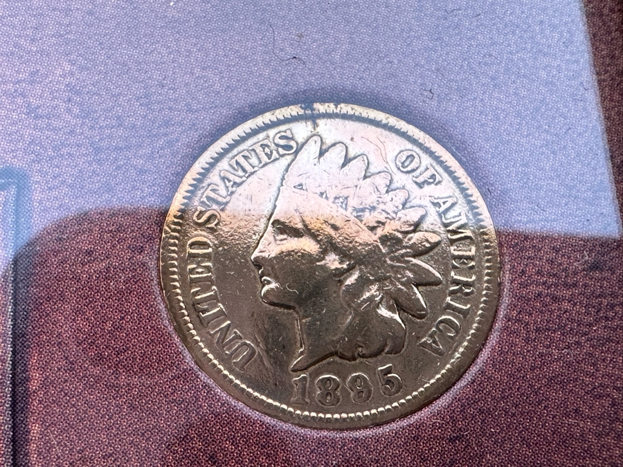 Framed Collection Of Ten American Indian Head Pennies 1891-1906 10 X 12 [Photo 10]