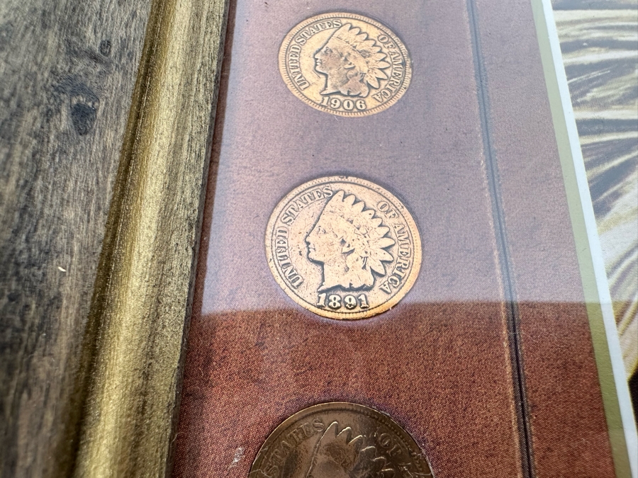 Framed Collection Of Ten American Indian Head Pennies 1891-1906 10 X 12 [Photo 19]