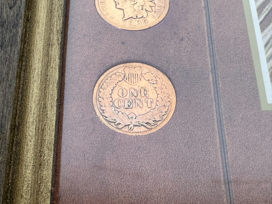 Framed Collection Of Ten American Indian Head Pennies 1891-1906 10 X 12 [Photo 8]