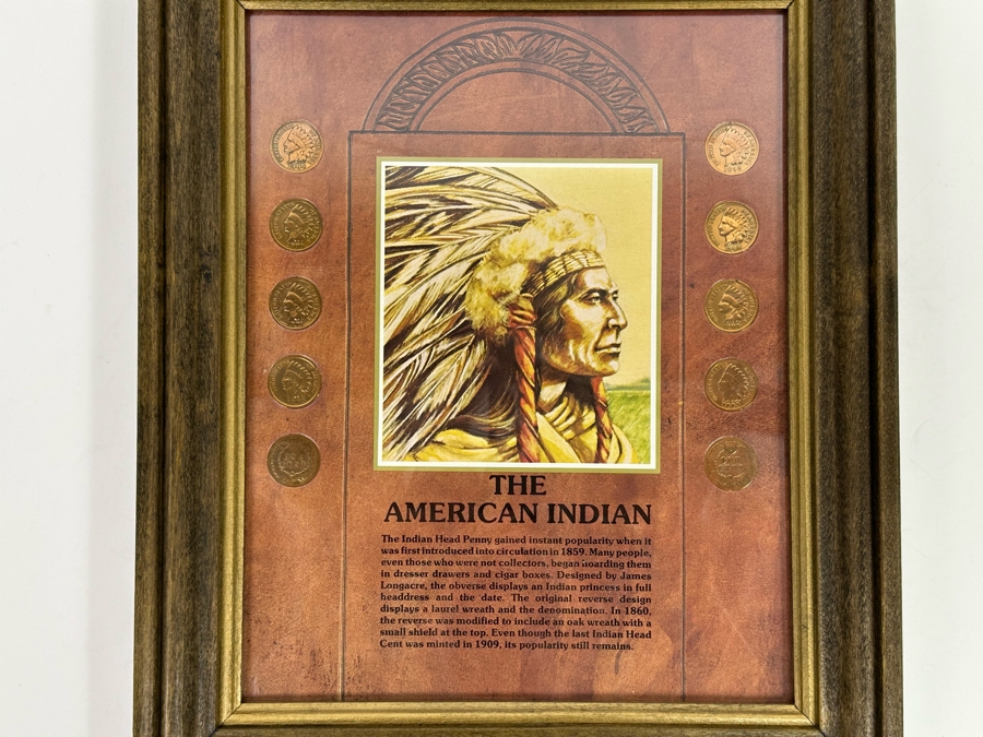 Framed Collection Of Ten American Indian Head Pennies 1891-1906 10 X 12 [Photo 3]