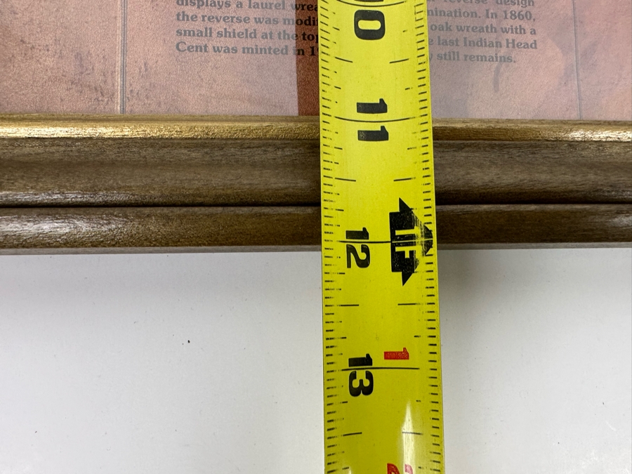 Framed Collection Of Ten American Indian Head Pennies 1891-1906 10 X 12 [Photo 26]