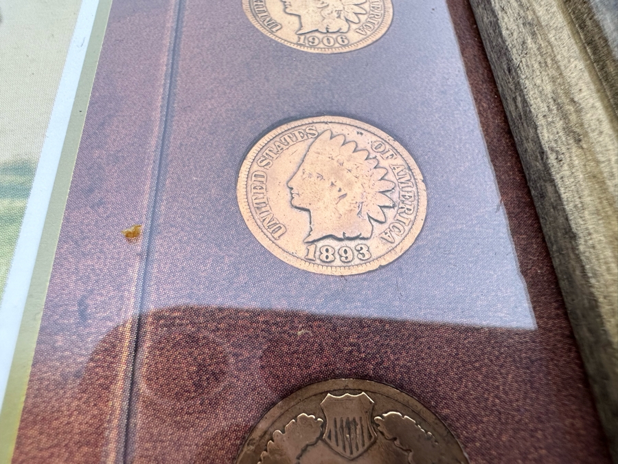 Framed Collection Of Ten American Indian Head Pennies 1891-1906 10 X 12 [Photo 12]