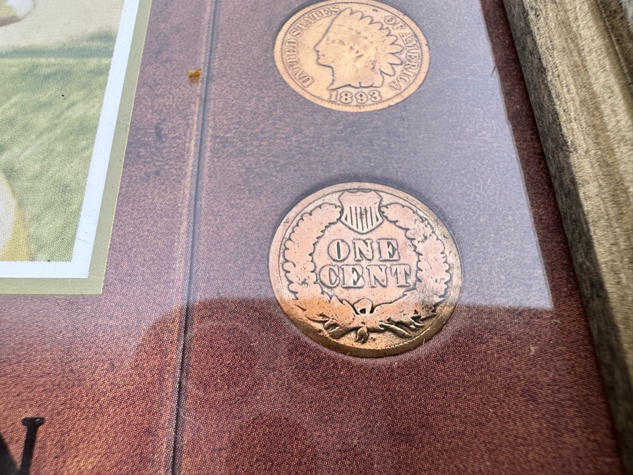 Framed Collection Of Ten American Indian Head Pennies 1891-1906 10 X 12 [Photo 13]
