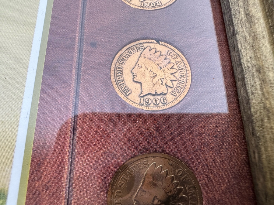 Framed Collection Of Ten American Indian Head Pennies 1891-1906 10 X 12 [Photo 16]