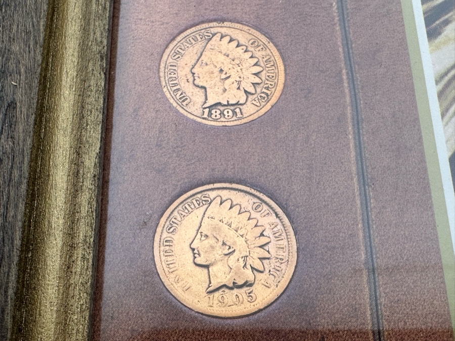 Framed Collection Of Ten American Indian Head Pennies 1891-1906 10 X 12 [Photo 7]