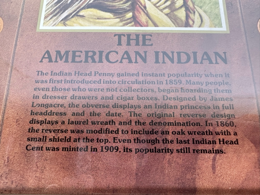 Framed Collection Of Ten American Indian Head Pennies 1891-1906 10 X 12 [Photo 22]