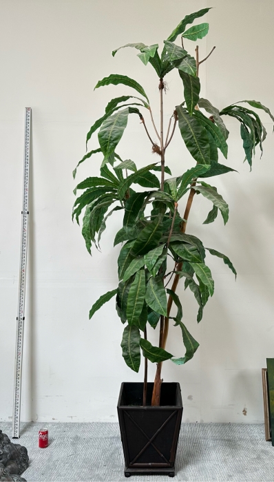 9' Tall Indoor Artificial Silk Plant