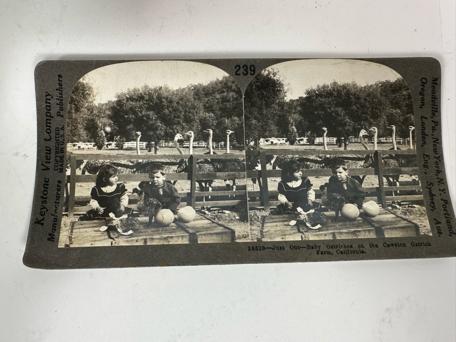 Rare Underwood & Underwood Sun Sculpture Stereoscope With Very Rare Antique Victorian Era Stereo View Card Holder With 23 Stereo View Cards Of Early American Children - See Photos [Photo 31]