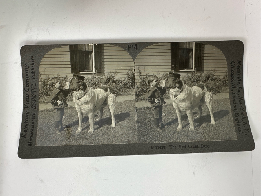 Rare Underwood & Underwood Sun Sculpture Stereoscope With Very Rare Antique Victorian Era Stereo View Card Holder With 23 Stereo View Cards Of Early American Children - See Photos [Photo 32]