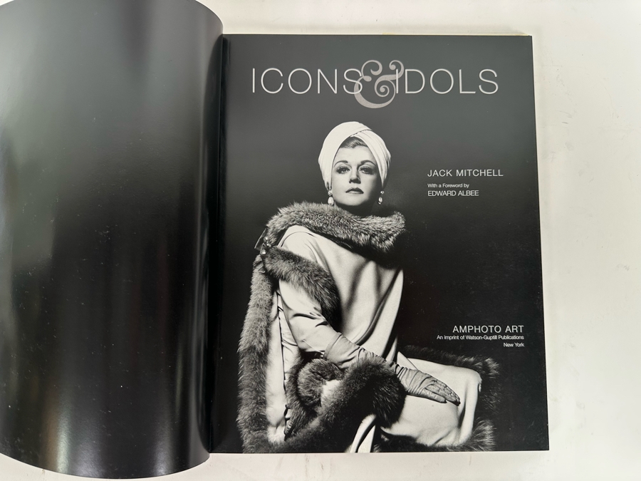 First Edition Book Icons & Idols A Photographer's Chronicles Of The Arts, 1960-1995 By Jack Mitchell [Photo 3]