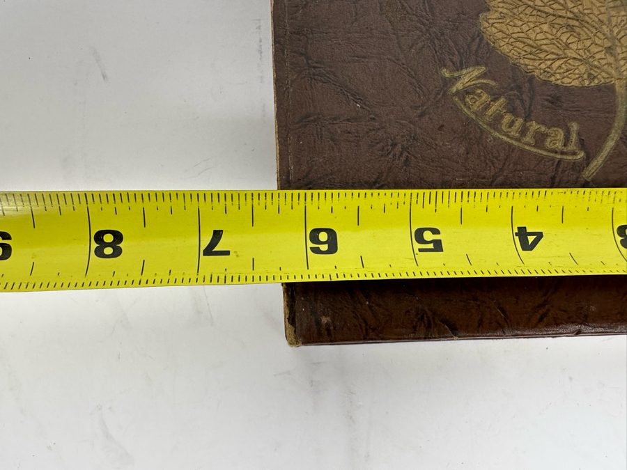 Mid-Century Barware Natural Leaf Coasters / Mixers Ensemble With Twig Mixers And Leaf Coasters With Original Box [Photo 4]