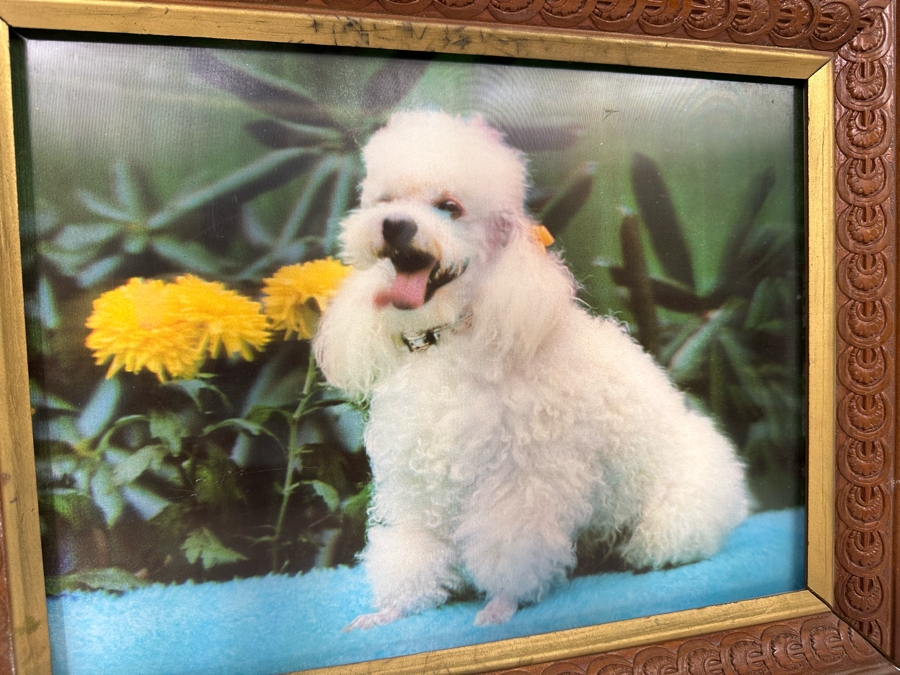 Vintage Lentograph By Victor Anderson 3D Studios Inc Plate No 124 Of Bijou Poodle 16 X 12 Framed 19 X 15 [Photo 5]