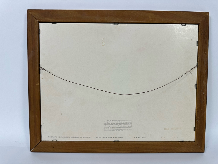 Vintage Lentograph By Victor Anderson 3D Studios Inc Plate No 124 Of Bijou Poodle 16 X 12 Framed 19 X 15 [Photo 8]