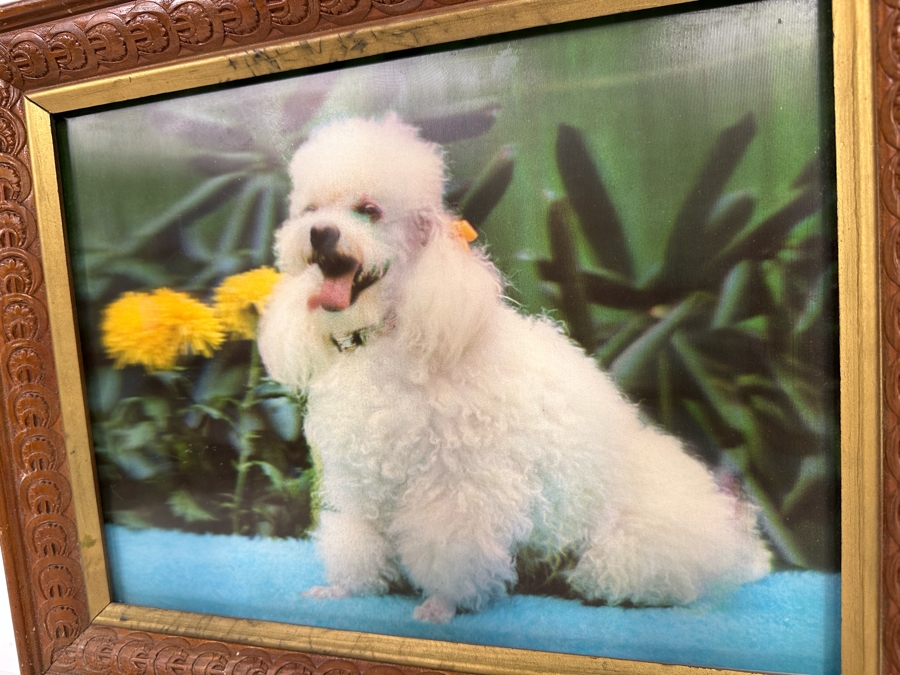 Vintage Lentograph By Victor Anderson 3D Studios Inc Plate No 124 Of Bijou Poodle 16 X 12 Framed 19 X 15 [Photo 7]