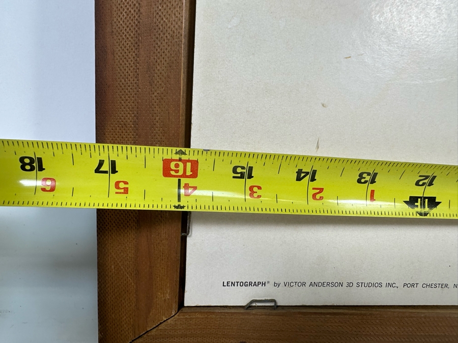 Vintage Lentograph By Victor Anderson 3D Studios Inc Plate No 124 Of Bijou Poodle 16 X 12 Framed 19 X 15 [Photo 13]