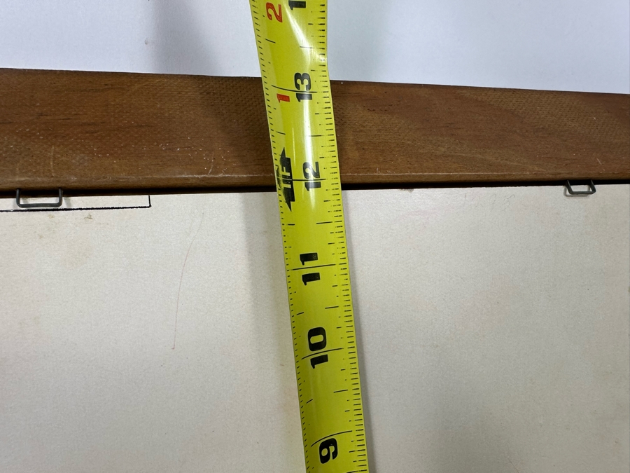 Vintage Lentograph By Victor Anderson 3D Studios Inc Plate No 124 Of Bijou Poodle 16 X 12 Framed 19 X 15 [Photo 14]