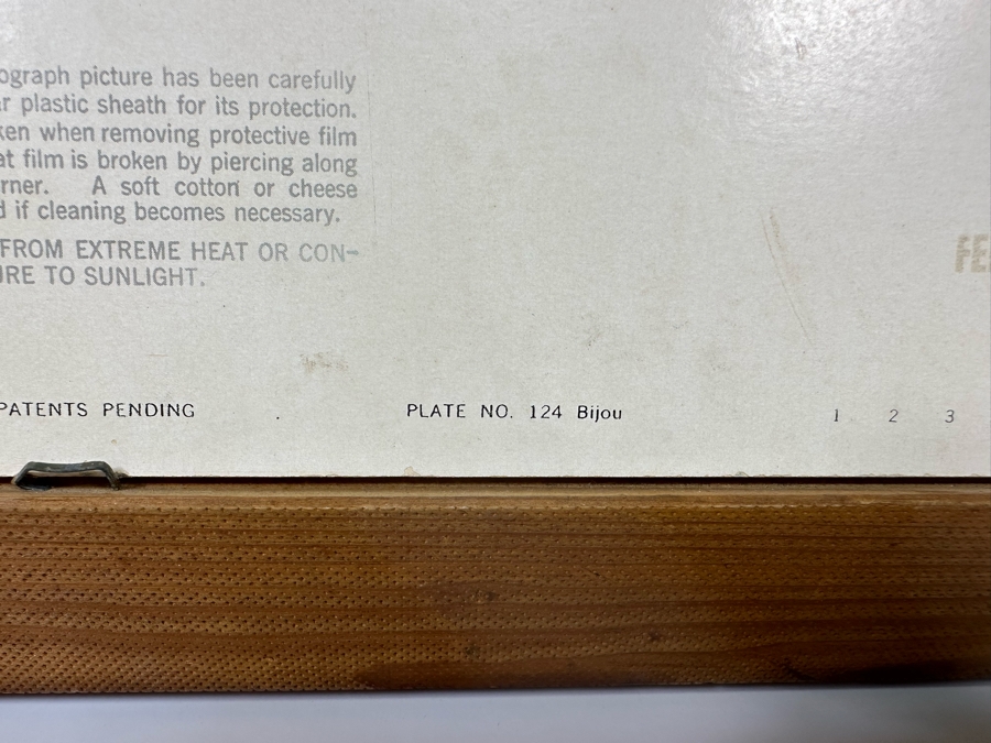 Vintage Lentograph By Victor Anderson 3D Studios Inc Plate No 124 Of Bijou Poodle 16 X 12 Framed 19 X 15 [Photo 11]