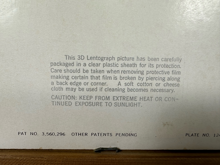 Vintage Lentograph By Victor Anderson 3D Studios Inc Plate No 124 Of Bijou Poodle 16 X 12 Framed 19 X 15 [Photo 9]