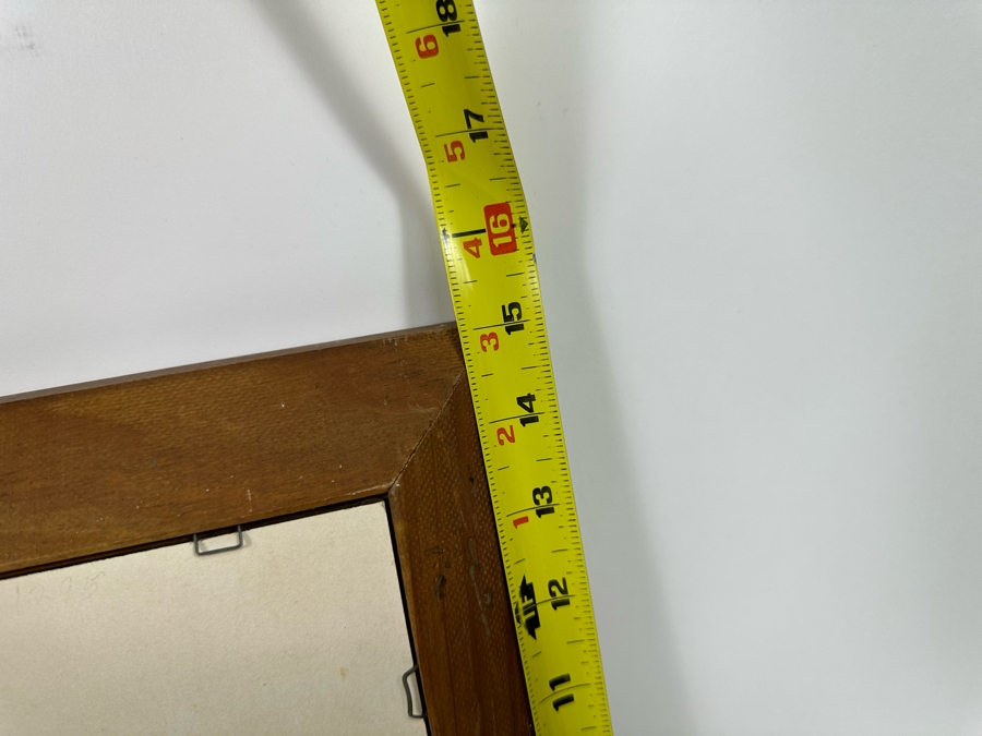 Vintage Lentograph By Victor Anderson 3D Studios Inc Plate No 124 Of Bijou Poodle 16 X 12 Framed 19 X 15 [Photo 16]