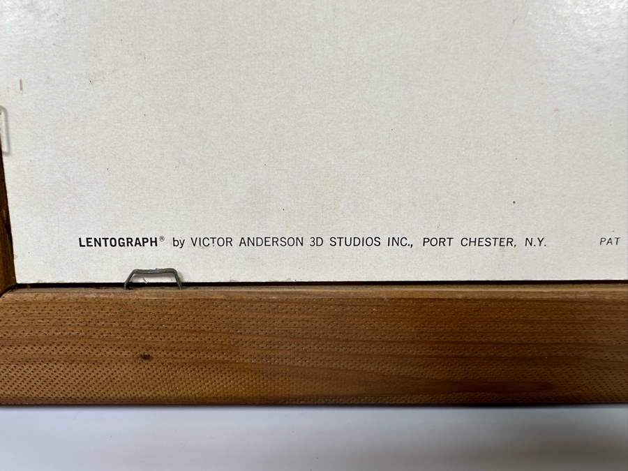 Vintage Lentograph By Victor Anderson 3D Studios Inc Plate No 124 Of Bijou Poodle 16 X 12 Framed 19 X 15 [Photo 10]