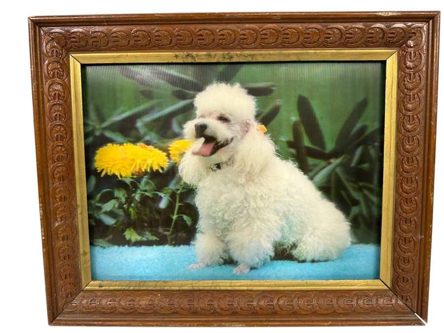 Vintage Lentograph By Victor Anderson 3D Studios Inc Plate No 124 Of Bijou Poodle 16 X 12 Framed 19 X 15 [Photo 2]
