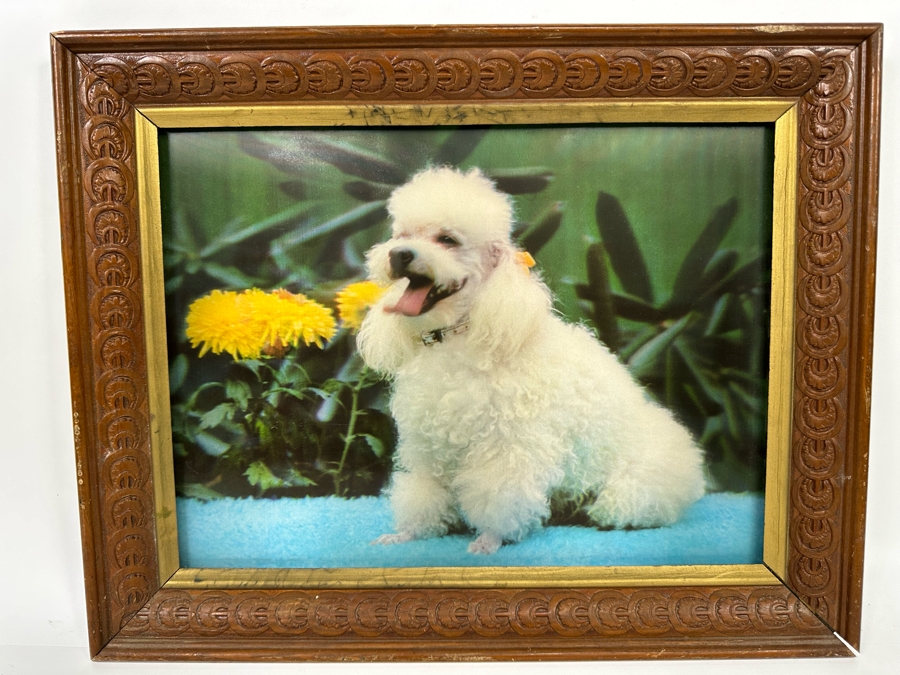 Vintage Lentograph By Victor Anderson 3D Studios Inc Plate No 124 Of Bijou Poodle 16 X 12 Framed 19 X 15 [Photo 4]