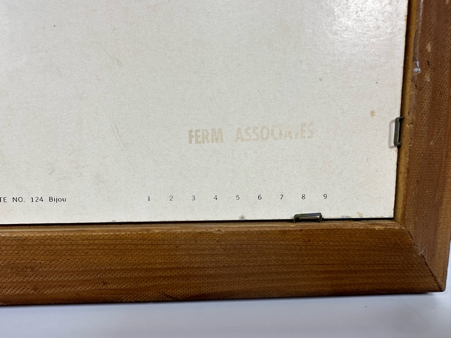 Vintage Lentograph By Victor Anderson 3D Studios Inc Plate No 124 Of Bijou Poodle 16 X 12 Framed 19 X 15 [Photo 12]