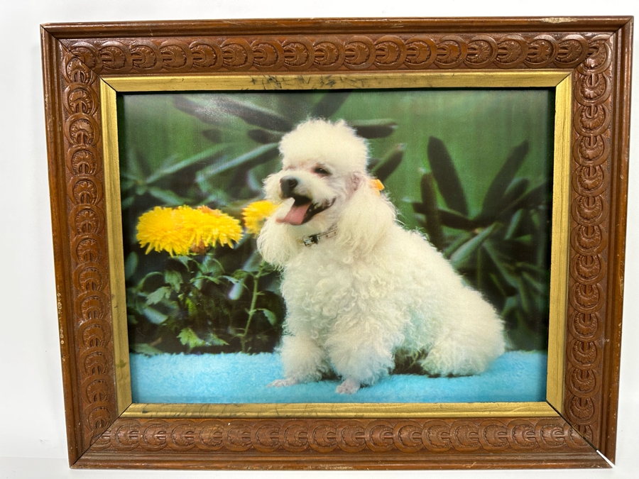 Vintage Lentograph By Victor Anderson 3D Studios Inc Plate No 124 Of Bijou Poodle 16 X 12 Framed 19 X 15 [Photo 3]