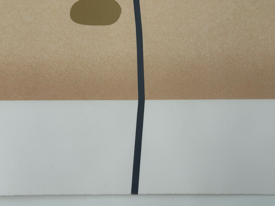 Victor Pasmore (1908-1998, British) Composite Image: Orange And Indigo 1984 Screenprint In Colors On Arches Paper Signed With Initials, Dated And Numbered 47 Of 70 Published By Marlborough Fine Art, London England 17 X 21 Framed 34 X 28 [Photo 13]