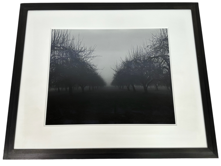 Clifford Ross (B. 1952, American) Unique Proof Photograph Titled 'North Salem II' 18 X 22 3/16 1995 Framed 35 X 29 Hand Signed On Back [Photo 2]