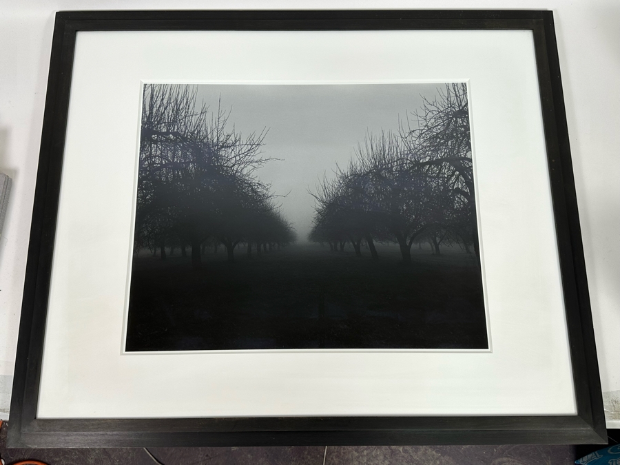 Clifford Ross (B. 1952, American) Unique Proof Photograph Titled 'North Salem II' 18 X 22 3/16 1995 Framed 35 X 29 Hand Signed On Back [Photo 3]