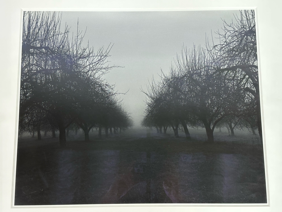 Clifford Ross (B. 1952, American) Unique Proof Photograph Titled 'North Salem II' 18 X 22 3/16 1995 Framed 35 X 29 Hand Signed On Back [Photo 1]