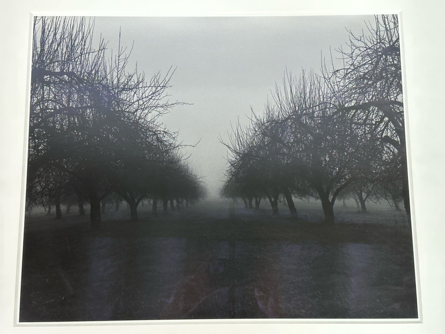 Clifford Ross (B. 1952, American) Unique Proof Photograph Titled 'North Salem II' 18 X 22 3/16 1995 Framed 35 X 29 Hand Signed On Back [Photo 4]