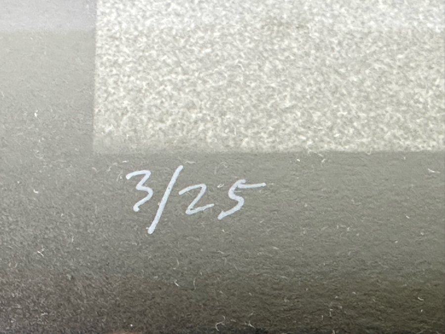 Max Waldman (1919-1981) Original Hand Signed Limited Portrait Gelatin Silver Print Photograph Of Giselle Performed By Natalia Makarova & Mikhail Baryshnikov American Ballet Theatre 1974 3 Of 25 Hand Signed By Max Waldman 16 X 20 Framed 24 X 28 [Photo 10]