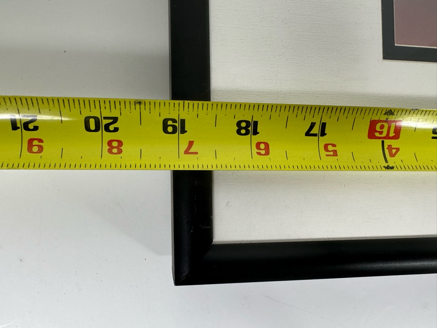 Warner Bros Animation Art Limited Edition Sericel 1999 Titled Gossamer 'Monstrous Manicure' 12 X 10 Framed 19 X 17 [Photo 11]